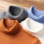 Pull tricoté à col roulé pour homme