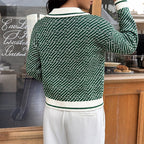 Women’s Collared Patterned Knit Jumper